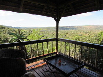 Woodbury Lodge Amakhala Vadrezervátum Kültér fotó