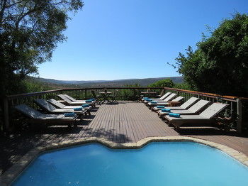 Woodbury Lodge Amakhala Vadrezervátum Kültér fotó